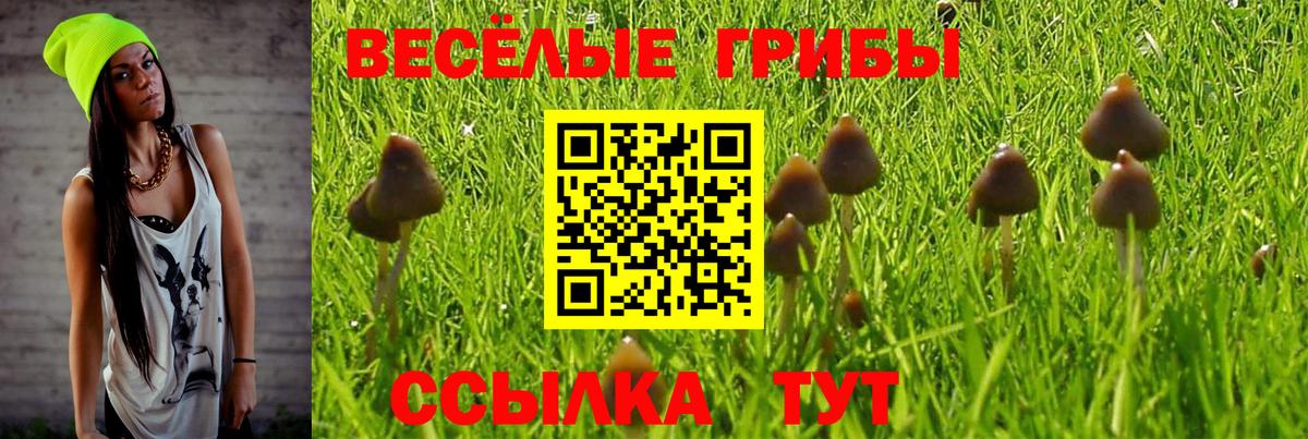 Галлюциногенные грибы GOLDEN TEACHER  купить наркотик  Заинск  Вход с VPN  Галлюциногенные грибы Psilocybine cubensis 